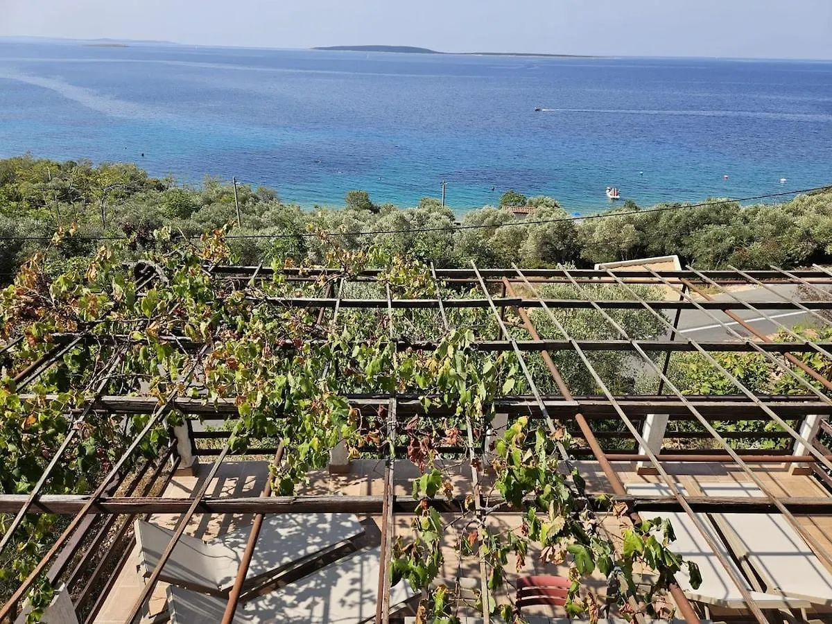 Azure Horizon Villa Miholascica Croatia
