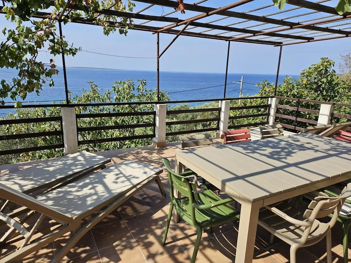 Azure Horizon Villa Miholascica